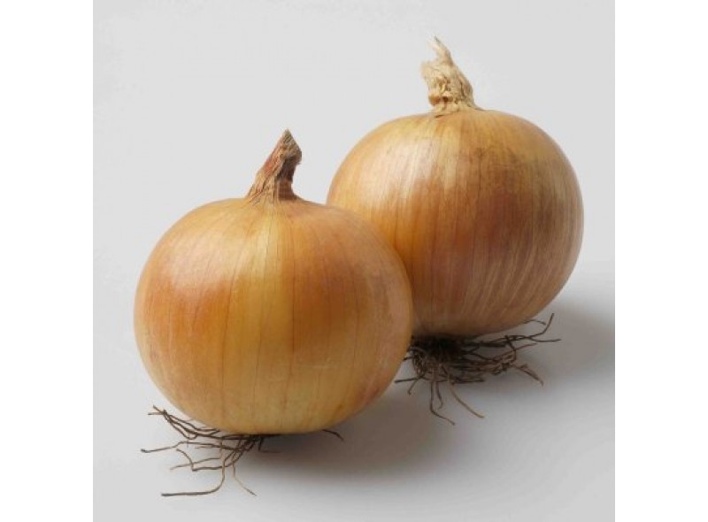 Семена лука EZ 1104 (250 000 семян), Libra Seeds (Erste Zaden) Семена лука EZ 1104 (250 000 семян), Libra Seeds (Erste Zaden)